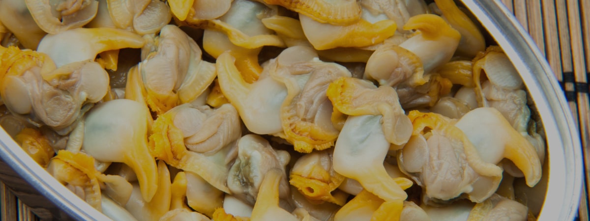 Oysters, Cockles, Scallops & More