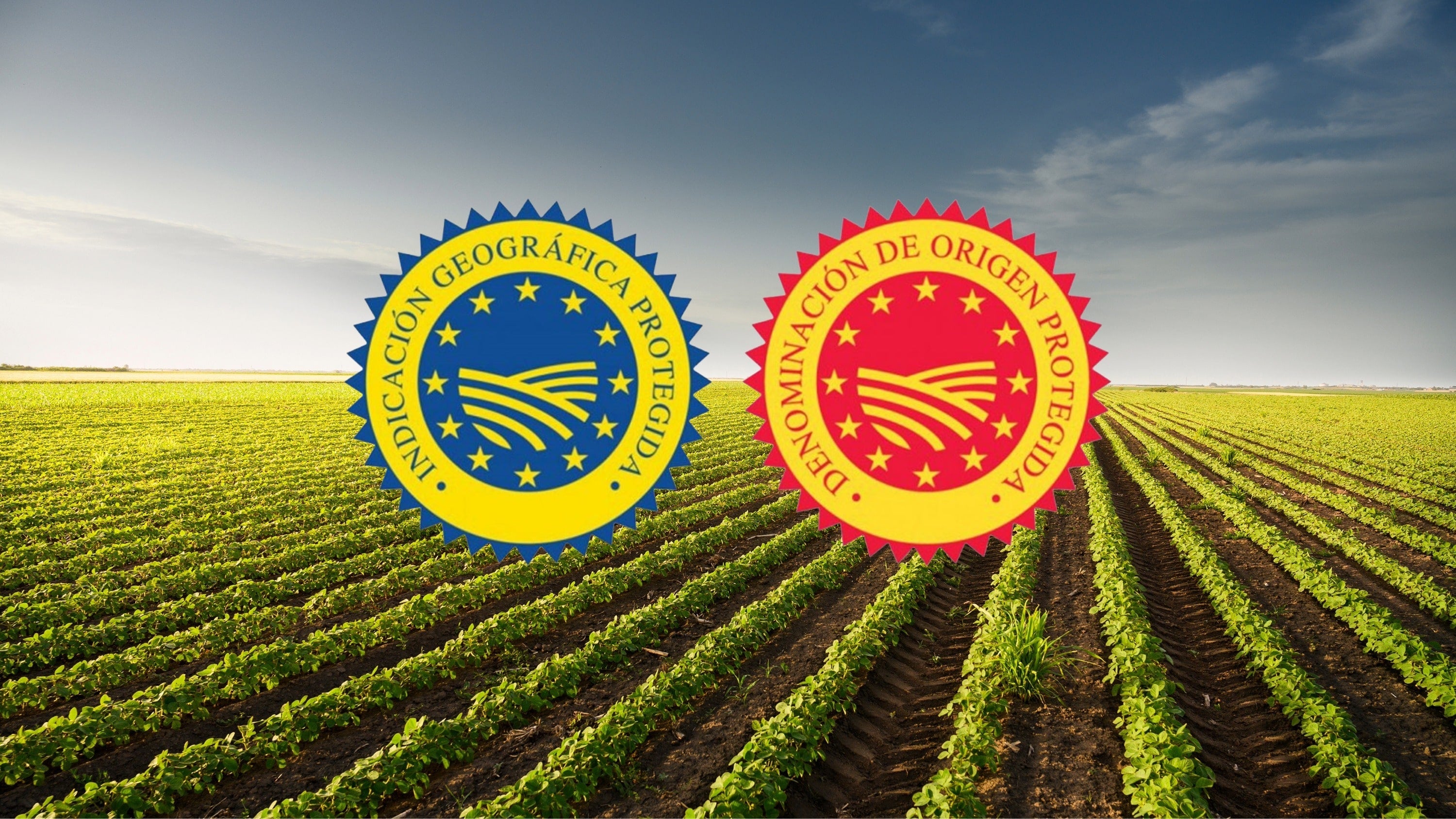 PDO & PGI Certified Spanish Products