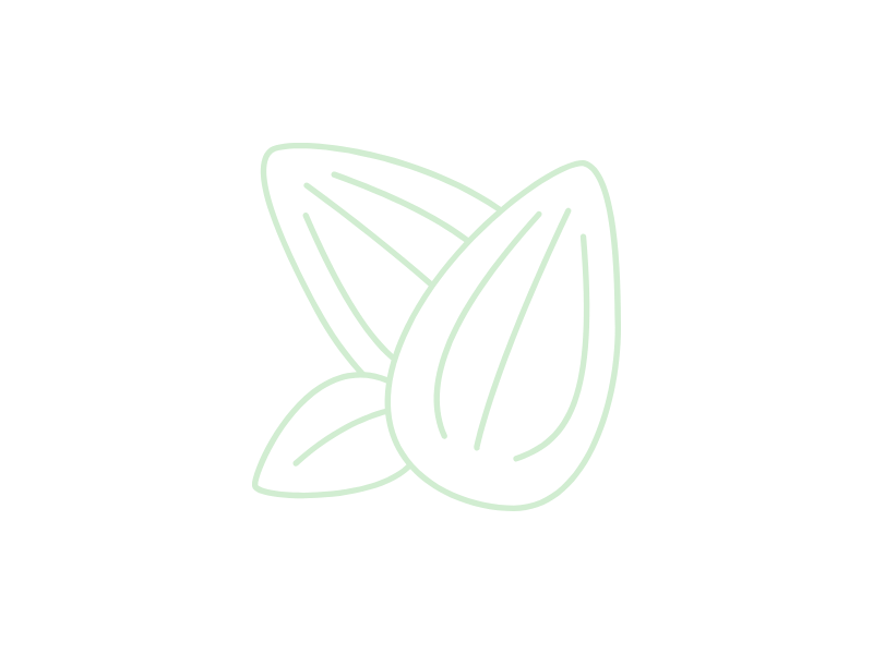 Outline of almonds on a green background