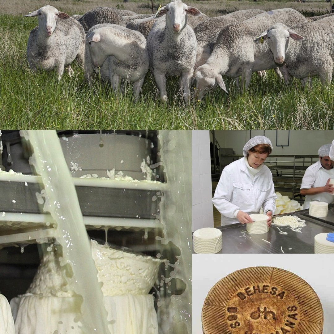 Semi-Soft Raw Sheep's Cheese by Dehesa Dos Hermanas Dehesa Dos Hermanas