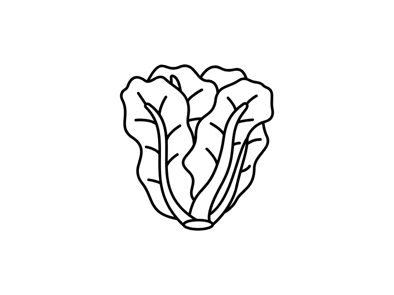 Black line drawing of a leafy vegetable on a white background