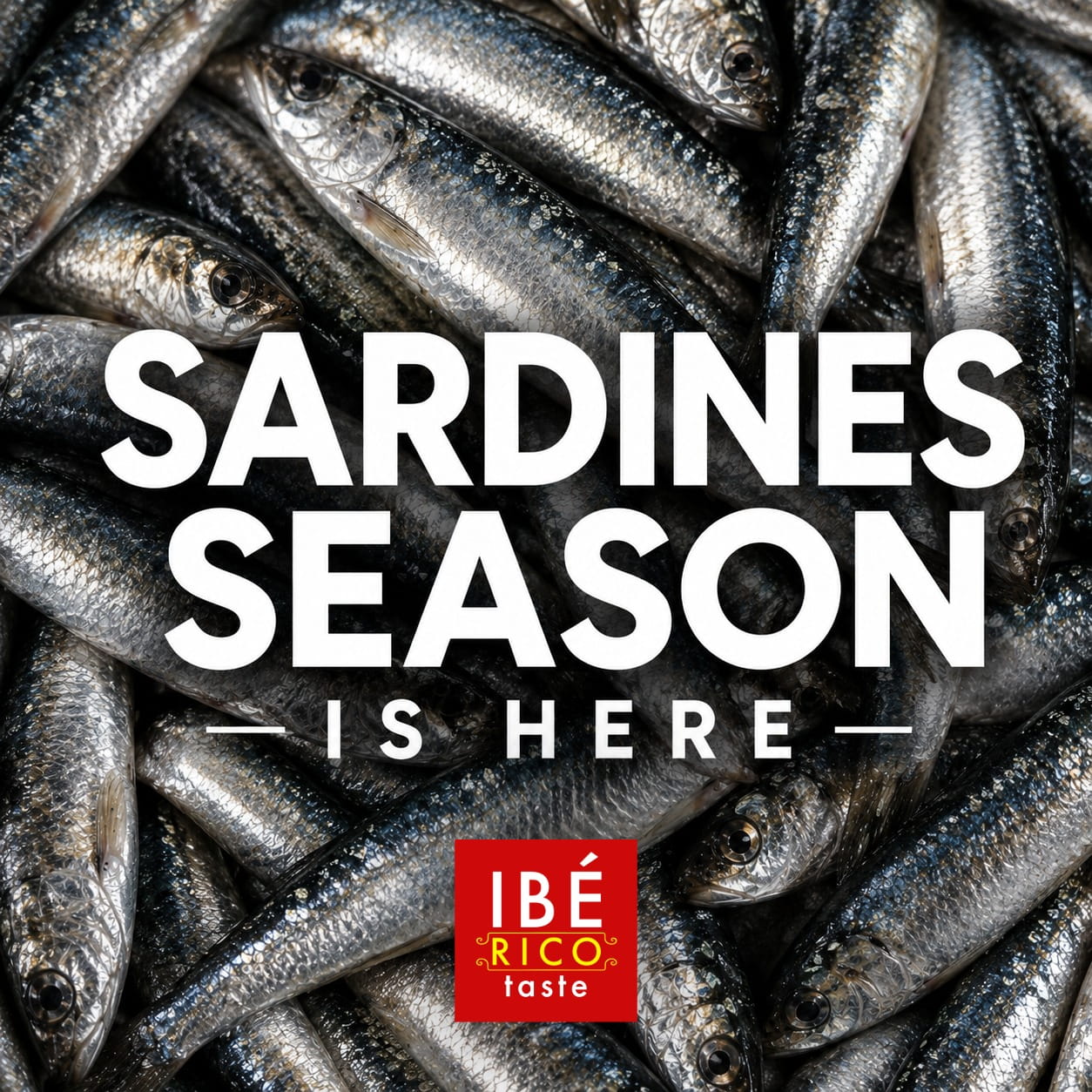 When Is Sardine Season? (And Why It Matters for Canned Sardines Too)
