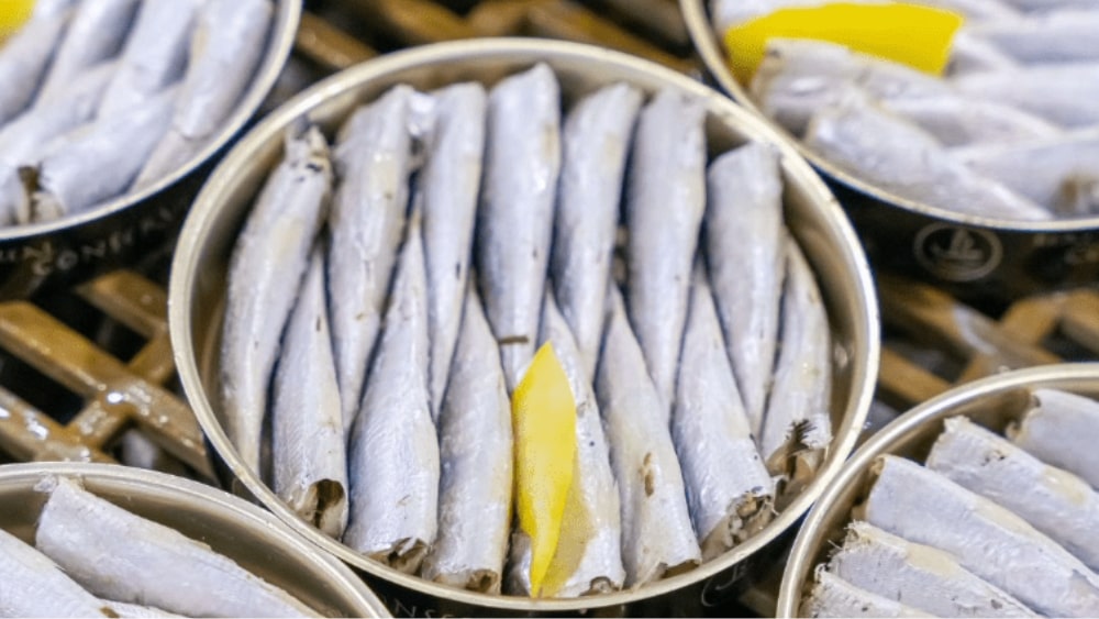 tinned sardines in olive oil