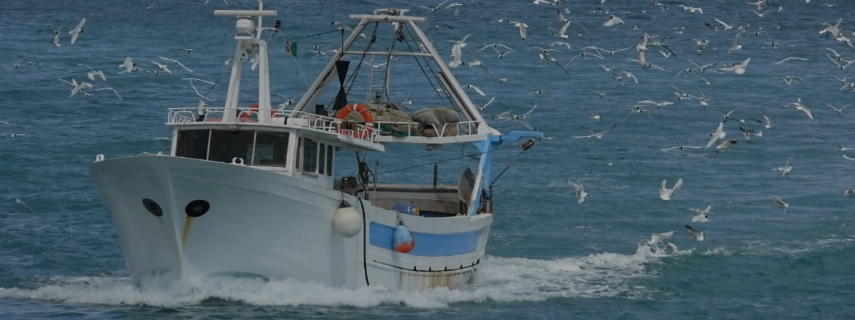 Wild-Caught Seafood