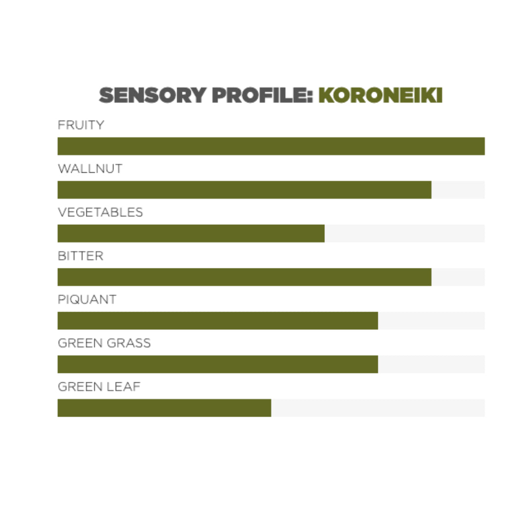 sensory profile of koroneiki olive oil