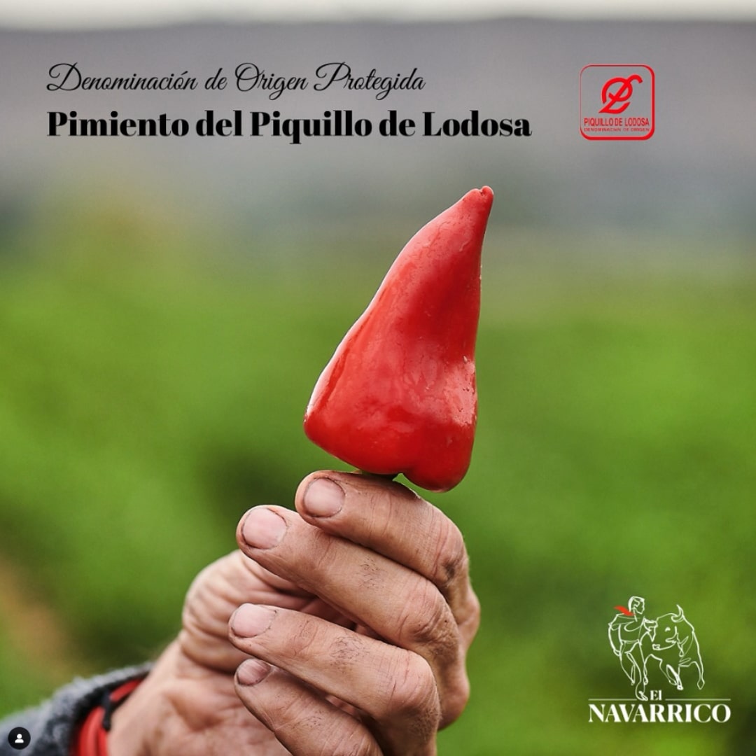 Whole Piquillo Peppers PDO Lodosa by El Navarrico El Navarrico